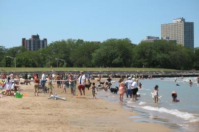 Sandee Montrose Dog Beach Photo