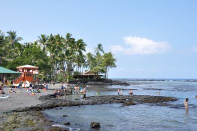 Sandee Kahaluu Beach Park Photo