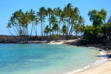 Sandee - Makalawena Beach