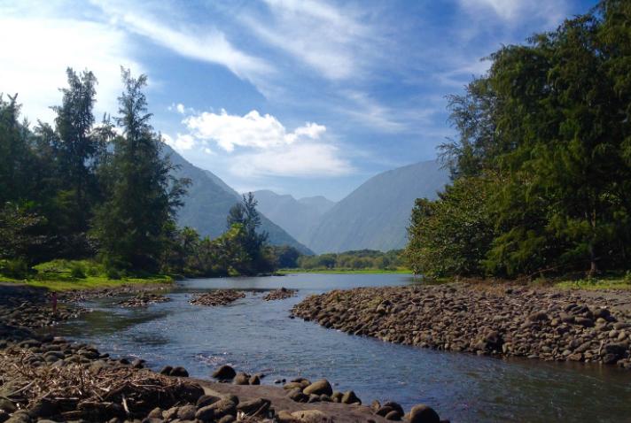 Sandee - Waipio Bay