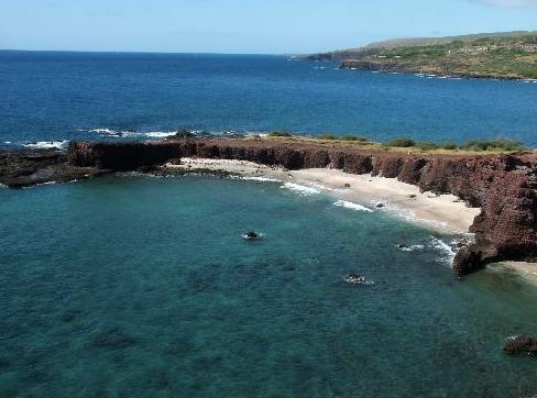 Sandee - Hulopoe Bay Beach