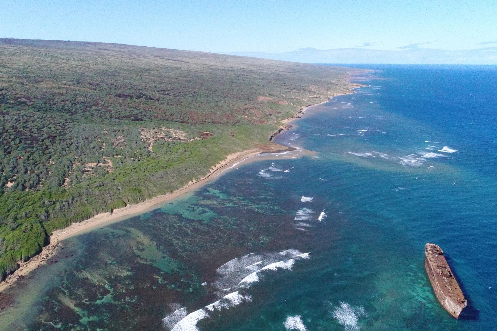 Sandee - Shipwreck Beach