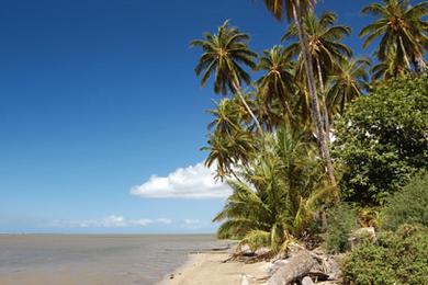 Sandee - Kepuhi Beach