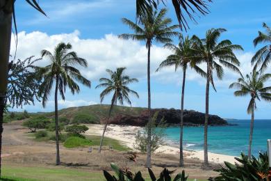 Sandee Kepuhi Beach