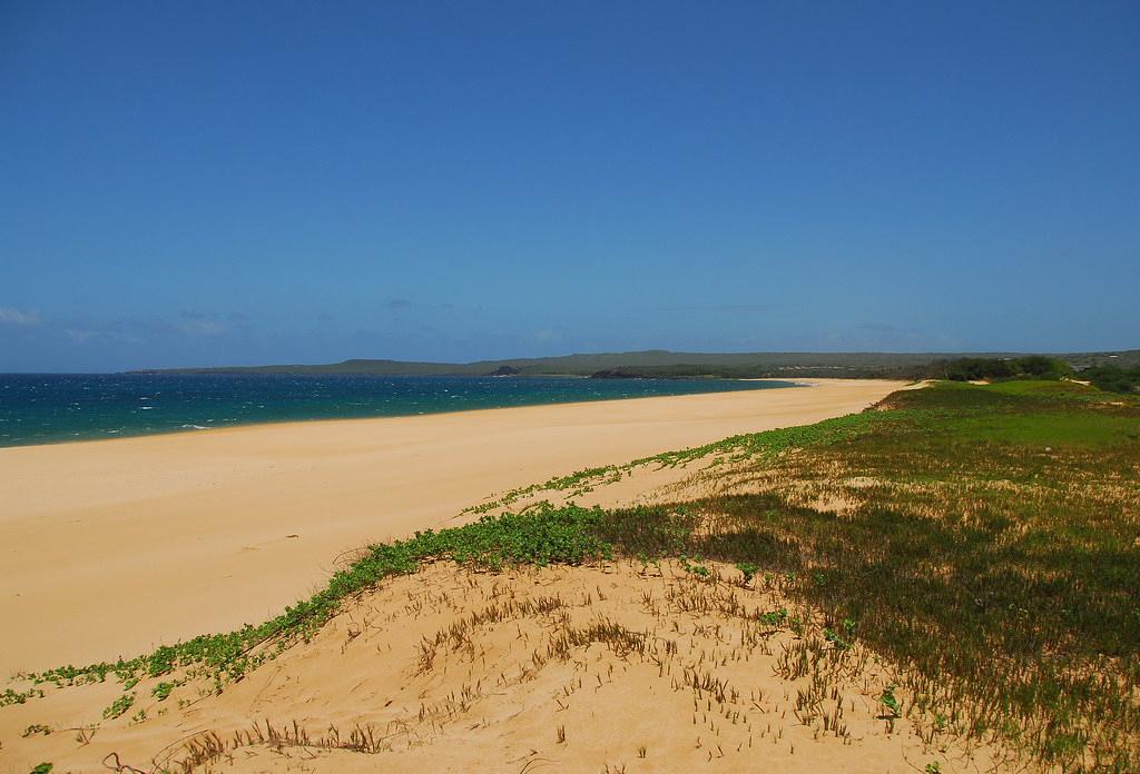 Sandee - Papohaku Beach