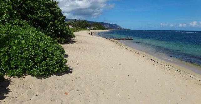 Sandee - Aweoweo Beach Park