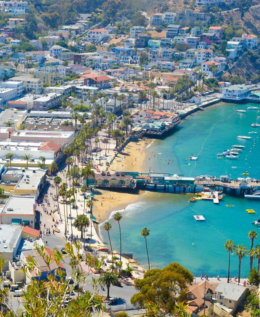 Santa Catalina Island Photo - Sandee