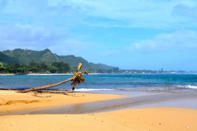 Sandee - Hauula Beach