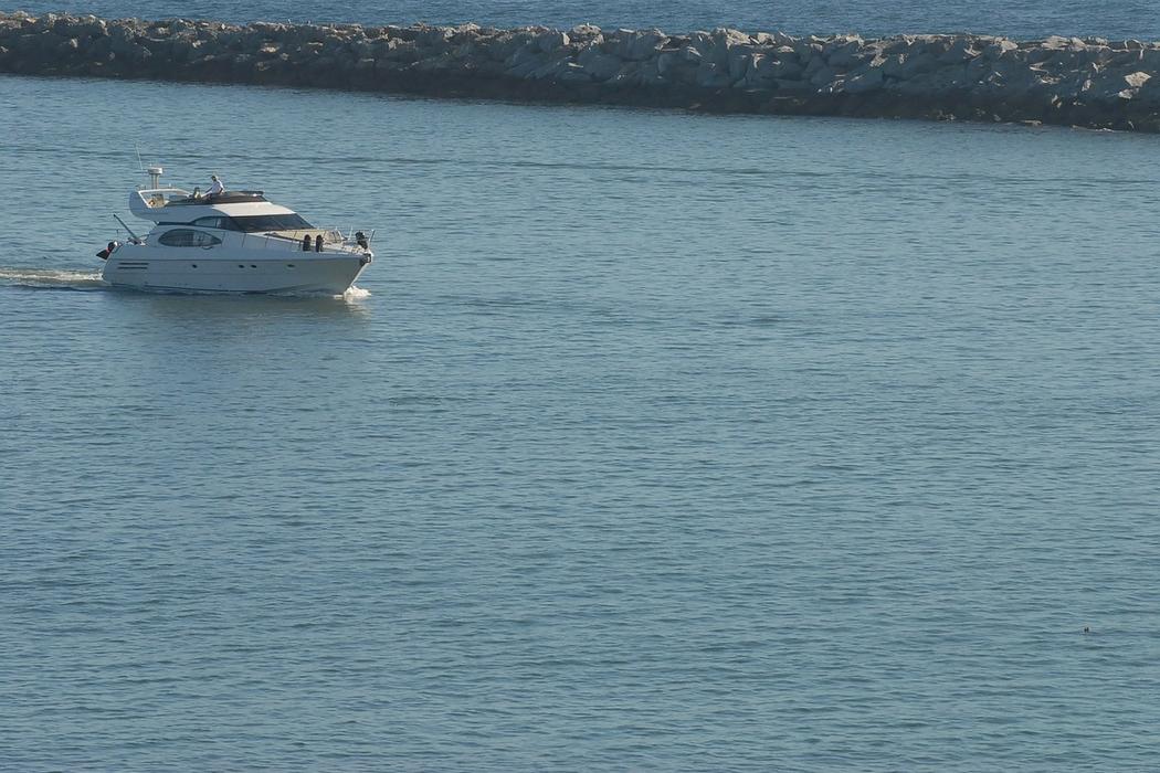 Sandee Newport Harbor Patrol Beach Photo