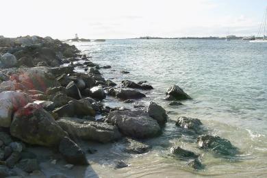 Sandee Pelican Key Beach Photo