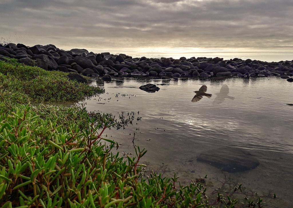 Sandee - Puerto Chino Beach