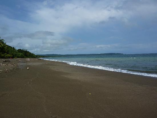Sandee - Playa Terco