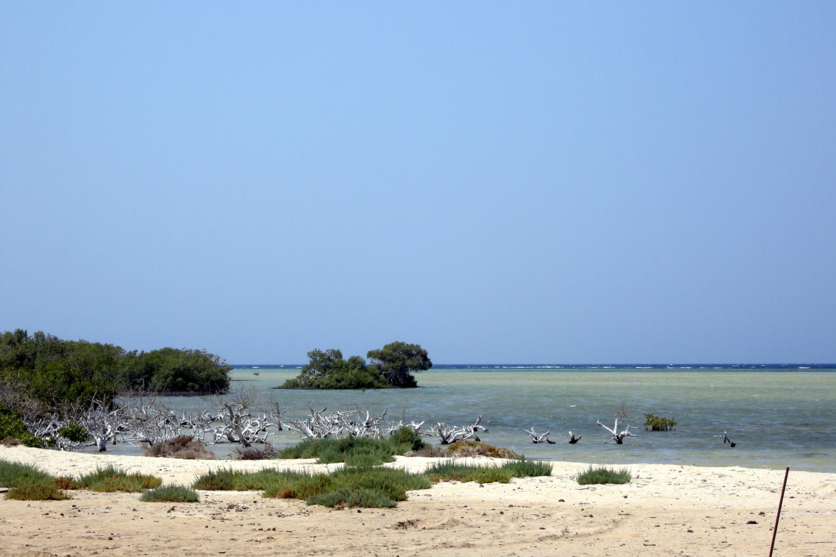 Sandee - Wadi Lahmy Azur Resort Beach