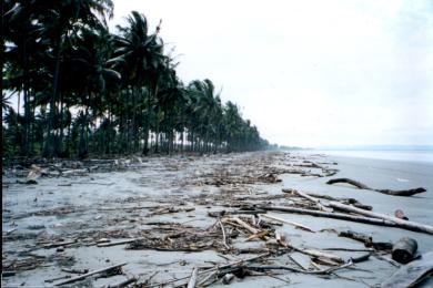 Sandee - Muisne Beach