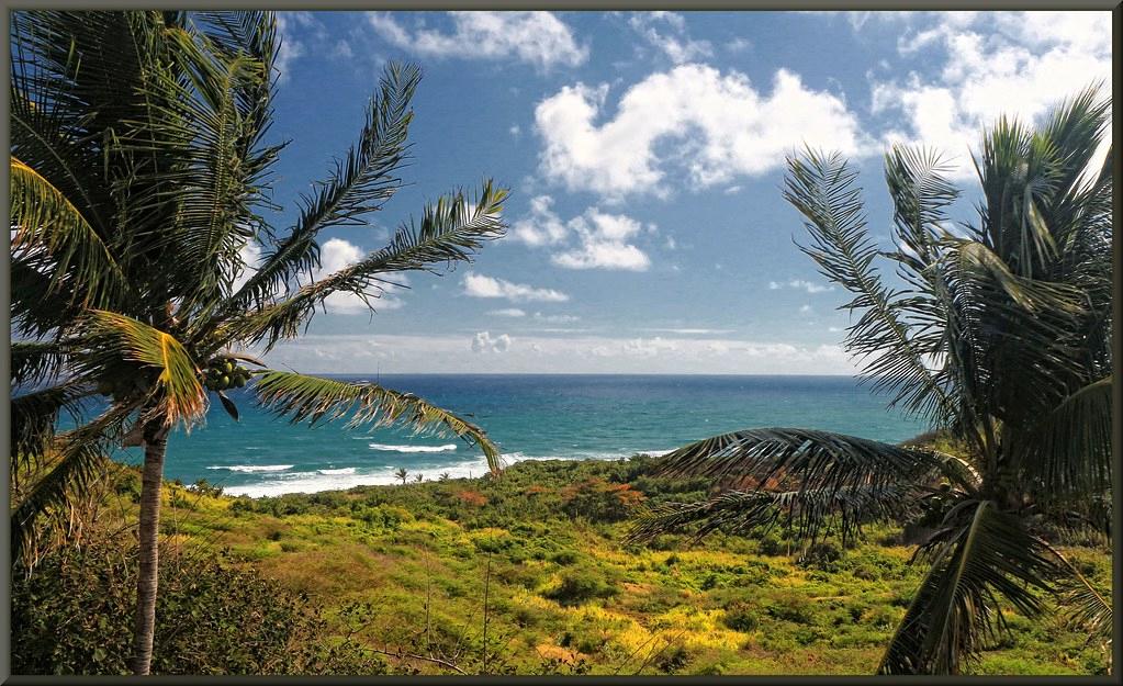 Sandee - St. Kitts Deep Water Port