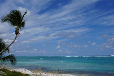 Sandee - Elbow Beach