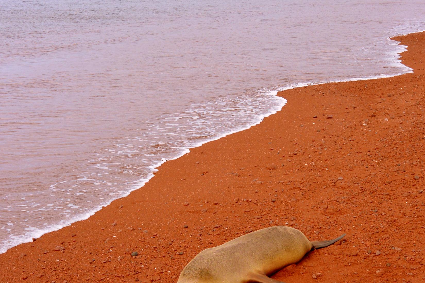 Sandee - Rabida Island