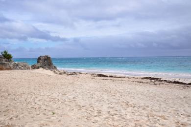 Sandee Elbow Beach Photo