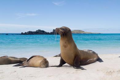 Sandee - Gardner Bay Beach