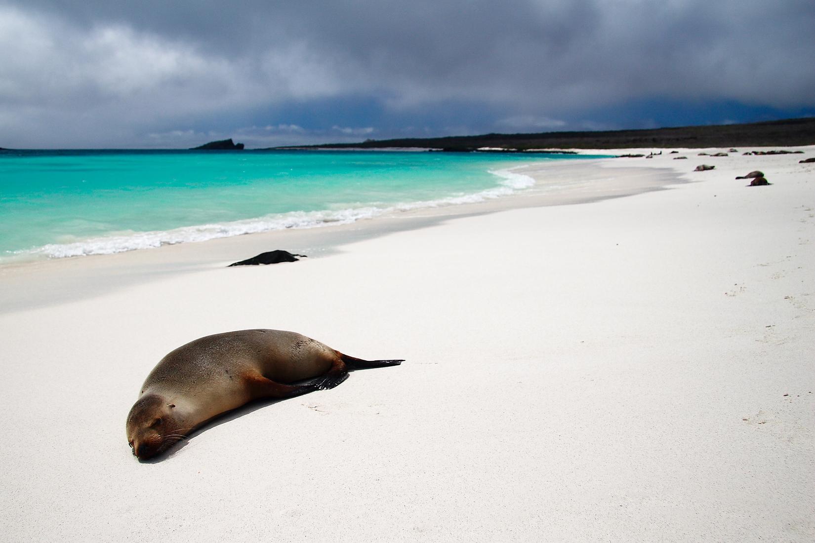 Sandee - Gardner Bay Beach