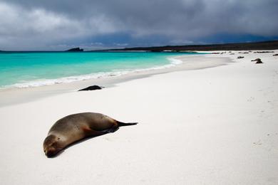 Sandee - Gardner Bay Beach