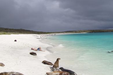 Sandee - Gardner Bay Beach