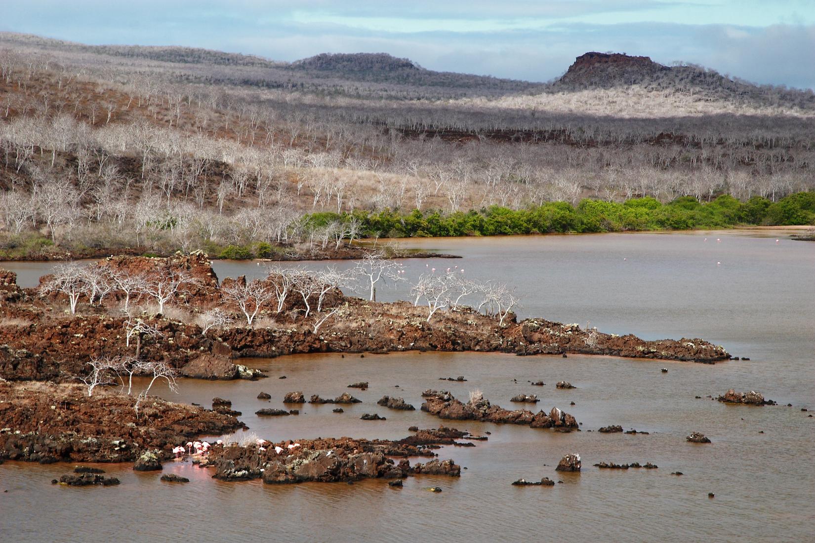 Sandee - Cormorant Point