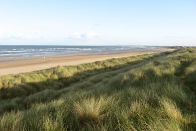 Sandee Bettystown