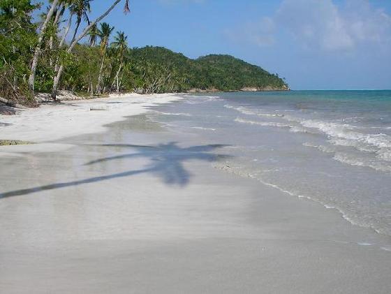 Sandee - Playa Manzanillo