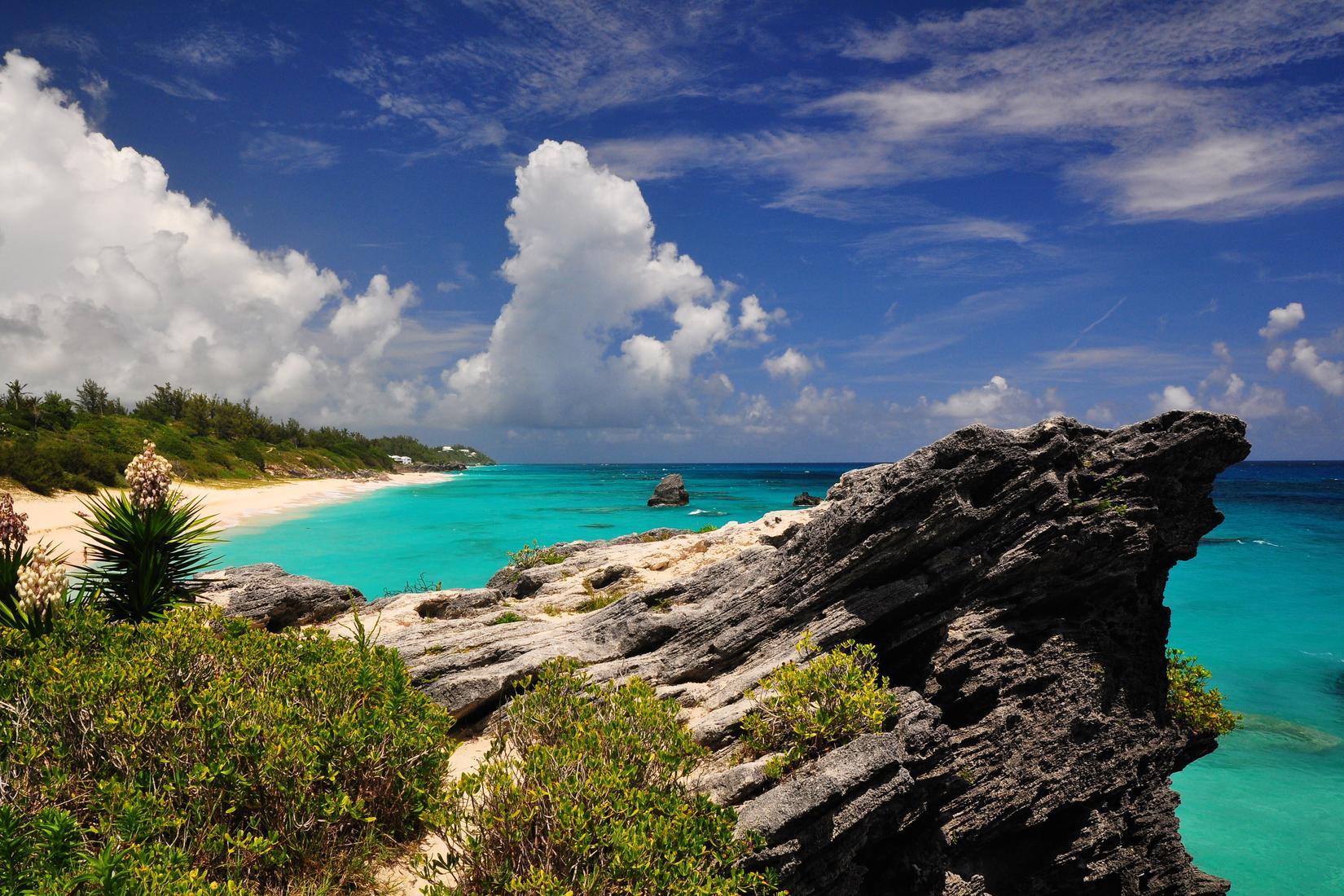 Sandee - Jobson's Cove And Point