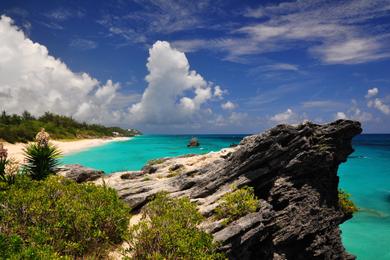 Sandee - Jobson's Cove And Point