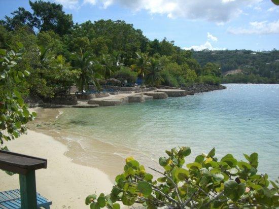 Sandee - HomePage / Oracabessa
