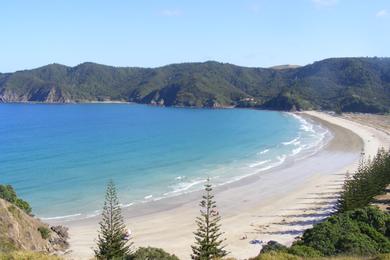 Sandee - Matauri Bay Beach