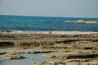 Sandee - Achziv Beach