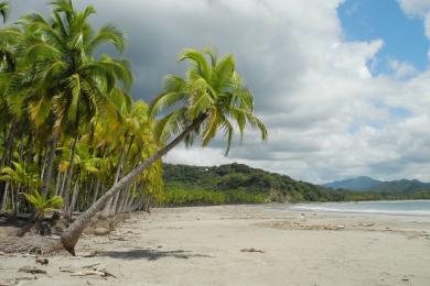 Sandee - Playa Carrillo