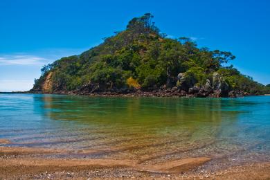 Sandee Pataua Beach Photo