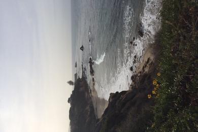 Sandee - Corona Del Mar State Beach