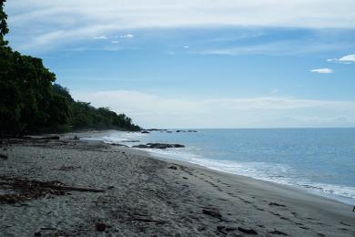 Sandee Playa Montezuma