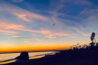 Sandee - Corona Del Mar State Beach