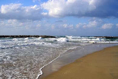 Sandee Barnea Beach
