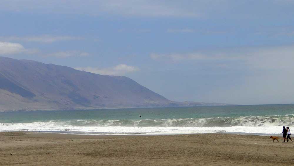 Sandee - Brava Beach- Iquique