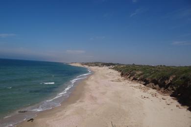 Sandee - Palmahim National Park Beach