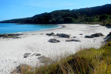 Sandee - Rangiputa Beach