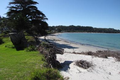 Sandee - Rangiputa Beach