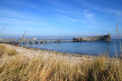 Sandee Amager Beach Park Photo