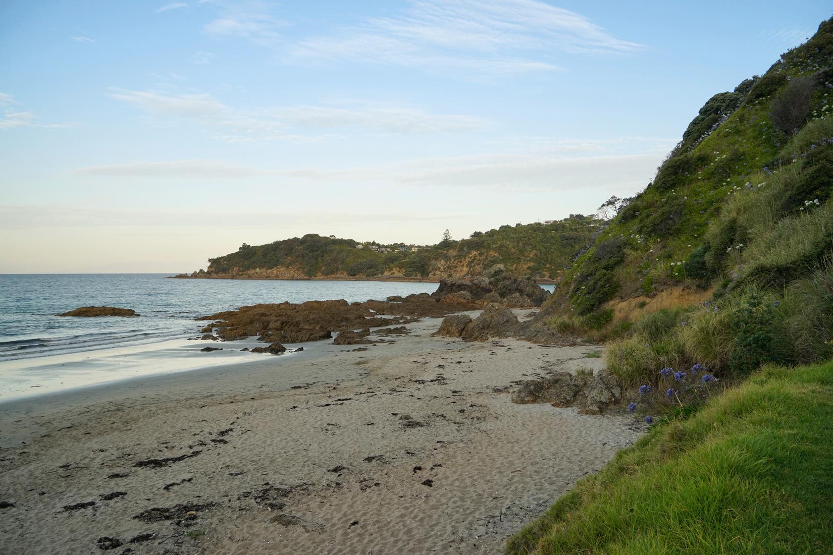 Sandee - Oneroa Bay Beach