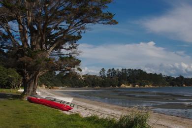 Sandee - Oneroa Bay Beach