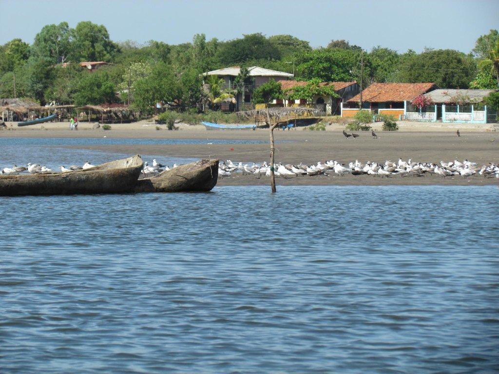 Sandee - Playa Poneloya