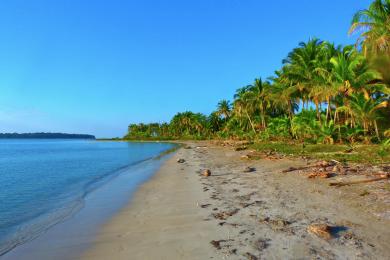 Sandee Starfish Beach Photo