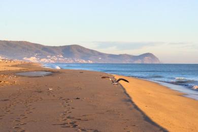 Sandee Plage Martil Photo